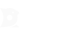 RAYA 睿雅